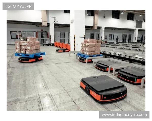 永乐高集团官网智能物流体系助力客户实现高效便捷的购物体验